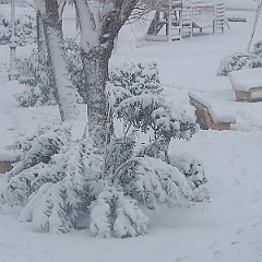 nieve 14 - 12 - 09 081